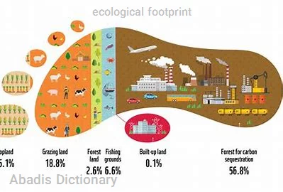 ecological footprint